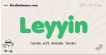 Leyyin muslim boys name and meaning, islamic boys name Leyyin