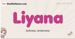 Liyana muslim girls name and meaning, islamic girls name Liyana
