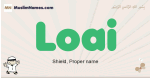 Loai muslim boys name and meaning, islamic boys name Loai