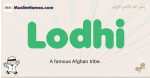 Lodhi muslim boys name and meaning, islamic boys name Lodhi