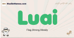 Luai muslim boys name and meaning, islamic boys name Luai