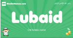 Lubaid arabic boys name and meaning, quranic boys name Lubaid