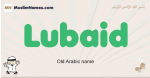 Lubaid muslim boys name and meaning, islamic boys name Lubaid