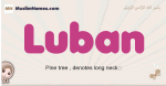 Luban muslim girls name and meaning, islamic girls name Luban