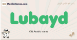 Lubayd muslim boys name and meaning, islamic boys name Lubayd