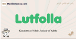 Lutfolla muslim boys name and meaning, islamic boys name Lutfolla