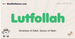 Lutfollah muslim boys name and meaning, islamic boys name Lutfollah