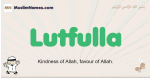 Lutfulla muslim boys name and meaning, islamic boys name Lutfulla