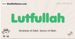 Lutfullah muslim boys name and meaning, islamic boys name Lutfullah