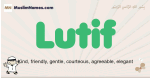 Lutif muslim boys name and meaning, islamic boys name Lutif