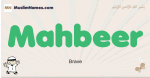 Mahbeer muslim boys name and meaning, islamic boys name Mahbeer