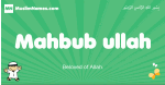 Mahbub-ullah arabic boys name and meaning, quranic boys name Mahbub-ullah
