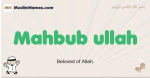 Mahbub-ullah muslim boys name and meaning, islamic boys name Mahbub-ullah