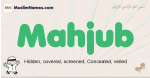 Mahjub muslim boys name and meaning, islamic boys name Mahjub