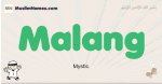 Malang muslim boys name and meaning, islamic boys name Malang