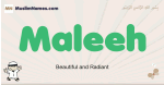 Maleeh muslim boys name and meaning, islamic boys name Maleeh