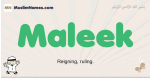 Maleek muslim boys name and meaning, islamic boys name Maleek