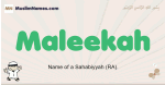 Maleekah muslim boys name and meaning, islamic boys name Maleekah