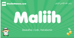 Maliih arabic boys name and meaning, quranic boys name Maliih
