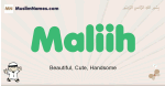 Maliih muslim boys name and meaning, islamic boys name Maliih