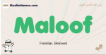 Maloof muslim boys name and meaning, islamic boys name Maloof