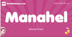 Manahel arabic girls name and meaning, muslim girl name Manahel