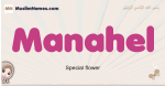 Manahel muslim girls name and meaning, islamic girls name Manahel