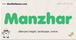 Manzhar muslim boys name and meaning, islamic boys name Manzhar