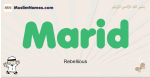 Marid muslim boys name and meaning, islamic boys name Marid