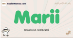 Marii muslim boys name and meaning, islamic boys name Marii