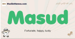 Masud muslim boys name and meaning, islamic boys name Masud