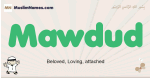Mawdud muslim boys name and meaning, islamic boys name Mawdud