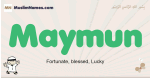 Maymun muslim boys name and meaning, islamic boys name Maymun