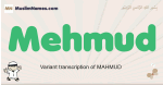Mehmud muslim boys name and meaning, islamic boys name Mehmud