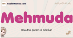 Mehmuda muslim girls name and meaning, islamic girls name Mehmuda