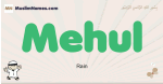 Mehul muslim boys name and meaning, islamic boys name Mehul