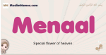 Menaal muslim girls name and meaning, islamic girls name Menaal