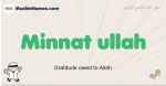 Minnat-ullah muslim boys name and meaning, islamic boys name Minnat-ullah