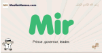 Mir muslim boys name and meaning, islamic boys name Mir