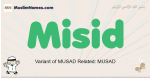 Misid muslim boys name and meaning, islamic boys name Misid