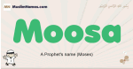 Moosa muslim boys name and meaning, islamic boys name Moosa