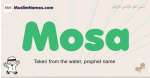 Mosa muslim boys name and meaning, islamic boys name Mosa