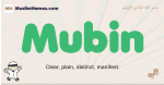 Mubin muslim boys name and meaning, islamic boys name Mubin
