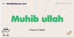 Muhib-ullah muslim boys name and meaning, islamic boys name Muhib-ullah