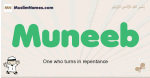 Muneeb muslim boys name and meaning, islamic boys name Muneeb