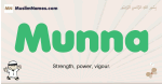 Munna muslim boys name and meaning, islamic boys name Munna