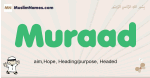 Muraad muslim boys name and meaning, islamic boys name Muraad