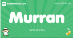 Murran arabic boys name and meaning, quranic boys name Murran