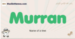 Murran muslim boys name and meaning, islamic boys name Murran