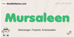 Mursaleen muslim boys name and meaning, islamic boys name Mursaleen